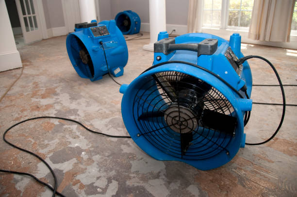 Best Water damage cleanup near me  in Whitmore Lake, MI