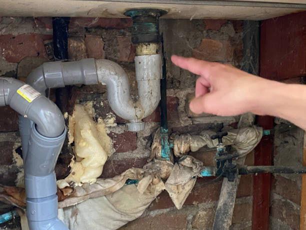  Whitmore Lake, MI Water damage restoration Pros