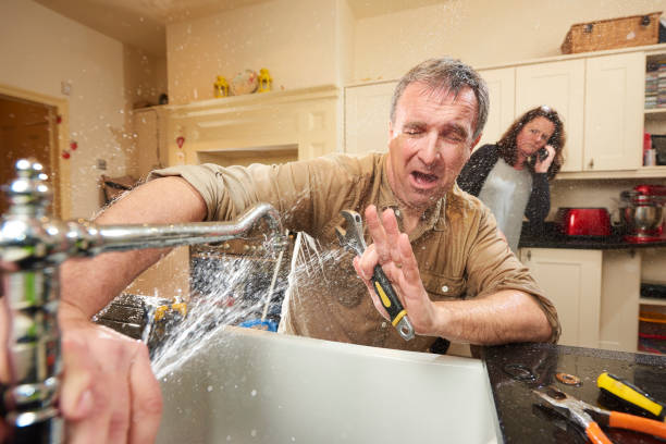 Best Water damage restoration experts  in Whitmore Lake, MI